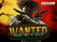 Wildz casino india13